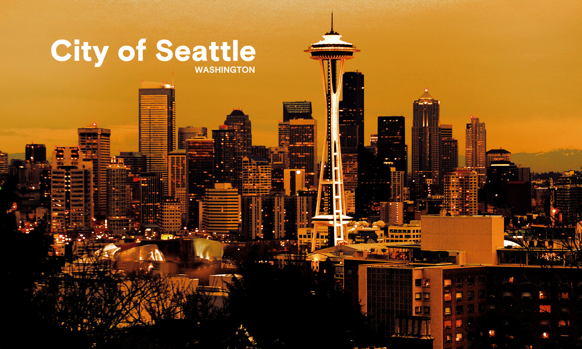 seattle's vision for digital equity